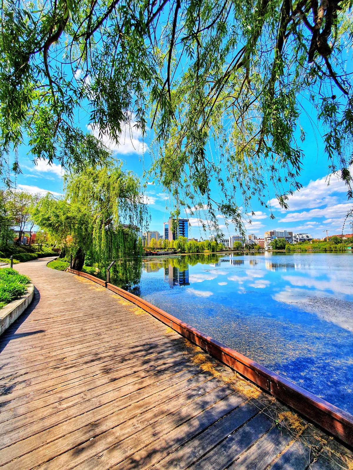 Lacul din vecinătate